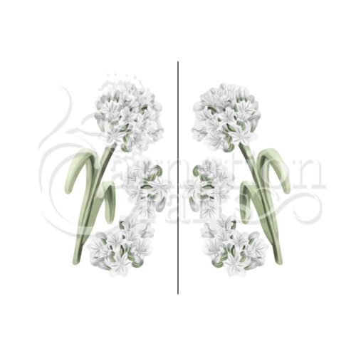 Carnation Crafts Agapanthus Vignette Downloads - Vignette 5