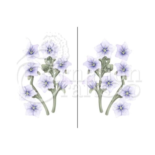 Carnation Crafts Balloon Flower Vignette Downloads - Vignette 3