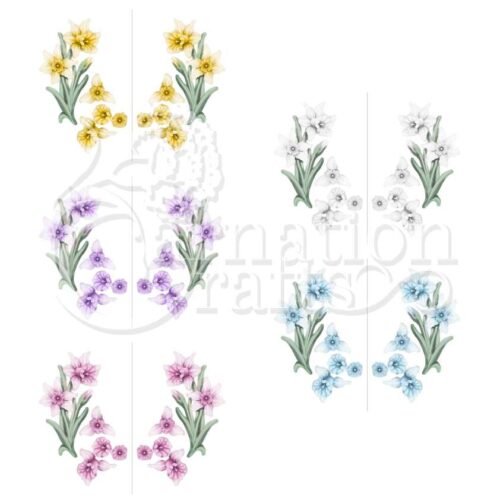 Carnation Crafts Dainty Daffodil Vignette Downloads