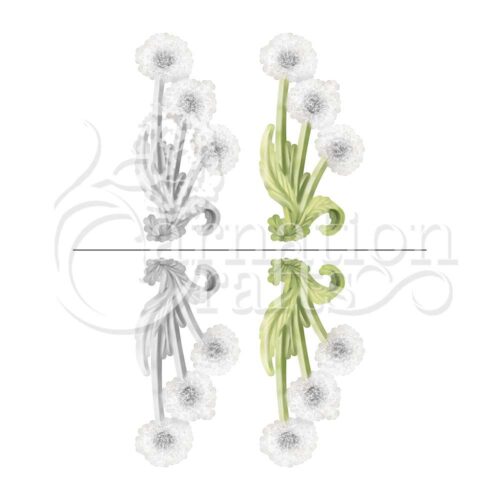 Carnation Crafts Dandelion Vignette Downloads - Vignette 5
