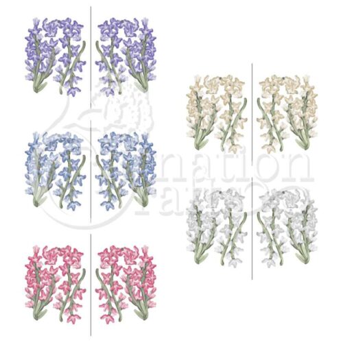 Carnation Crafts Night-scented Stock Vignette Downloads