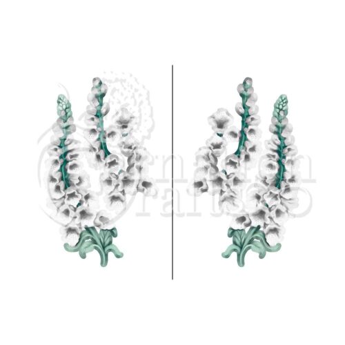 Carnation Crafts Foxgloves Vignette Downloads - Vignette 4